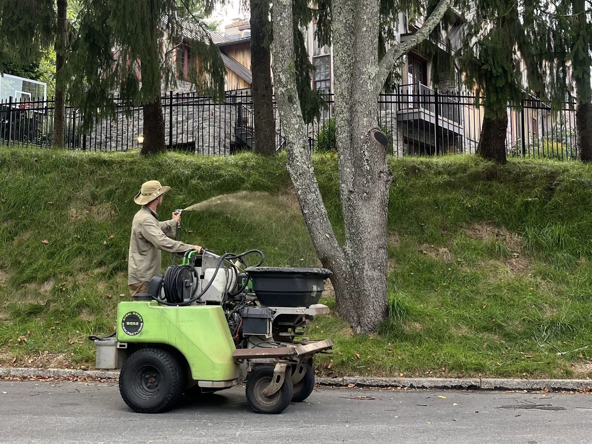 Spraying insect control on a customer's property