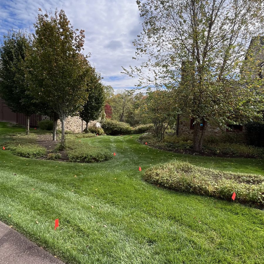 Lawn and landscaped beds on a large property