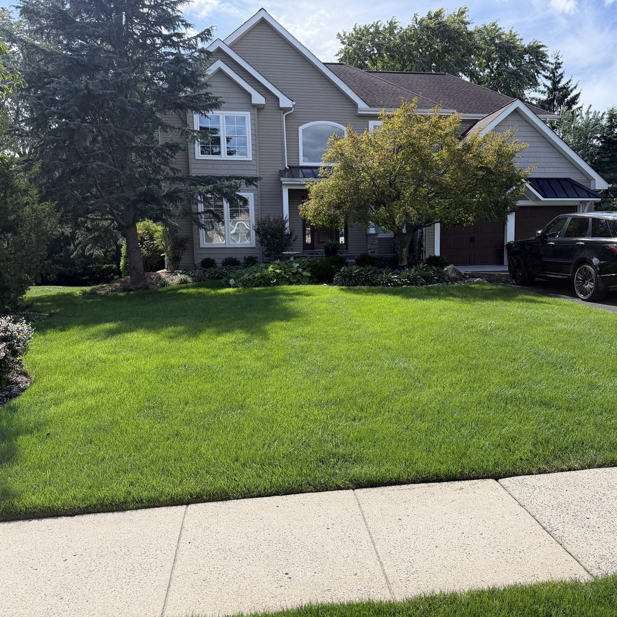 Thick green front lawn at a colonial home