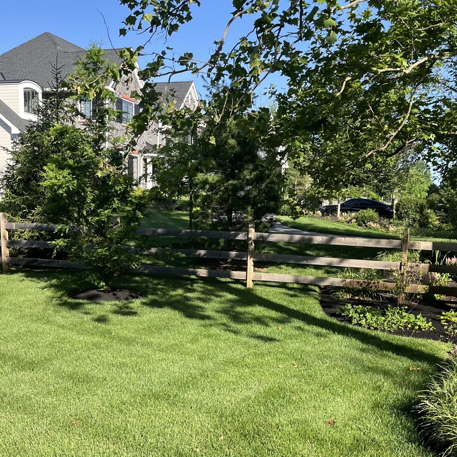 Healthy lawn along a split-rail fence