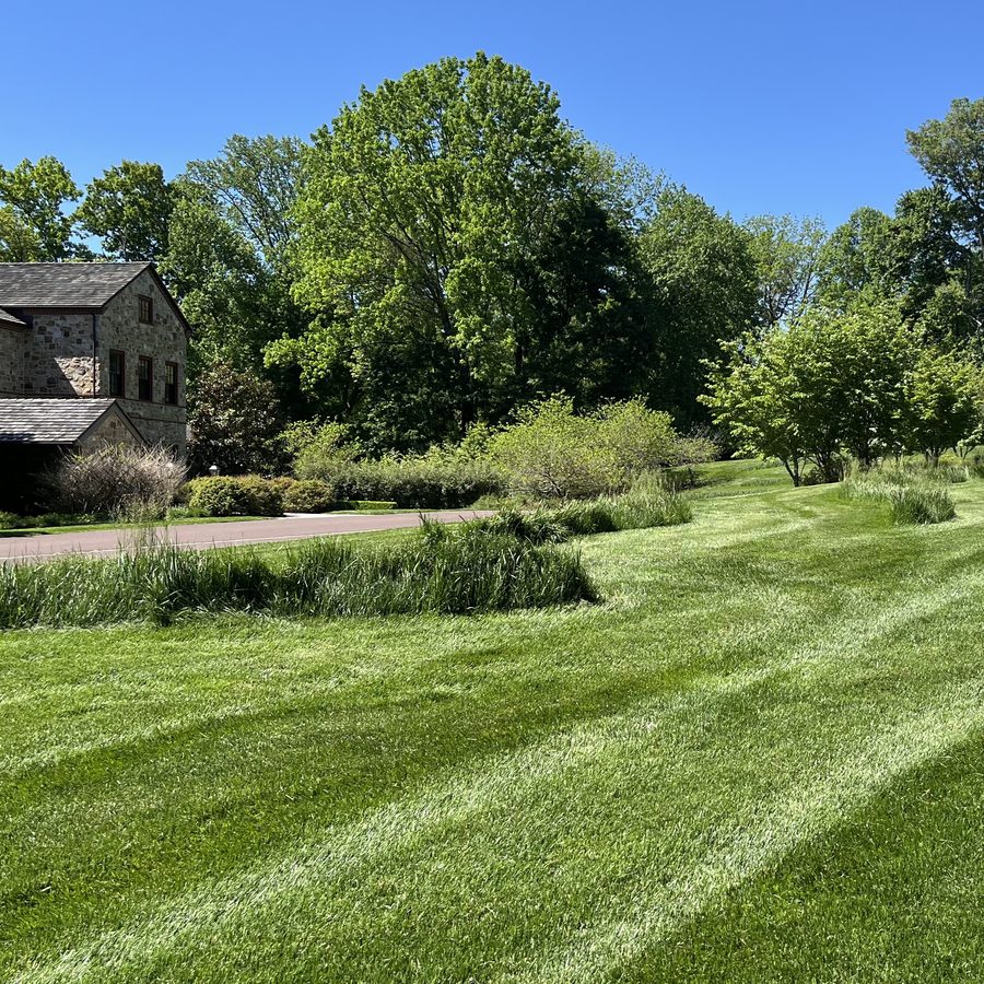 Striped lawn at a stone farmhouse