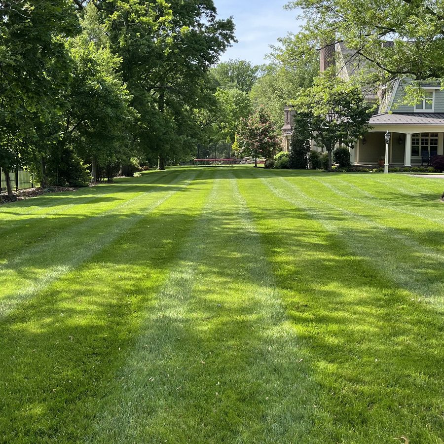 Long striped lawn leading to a large home