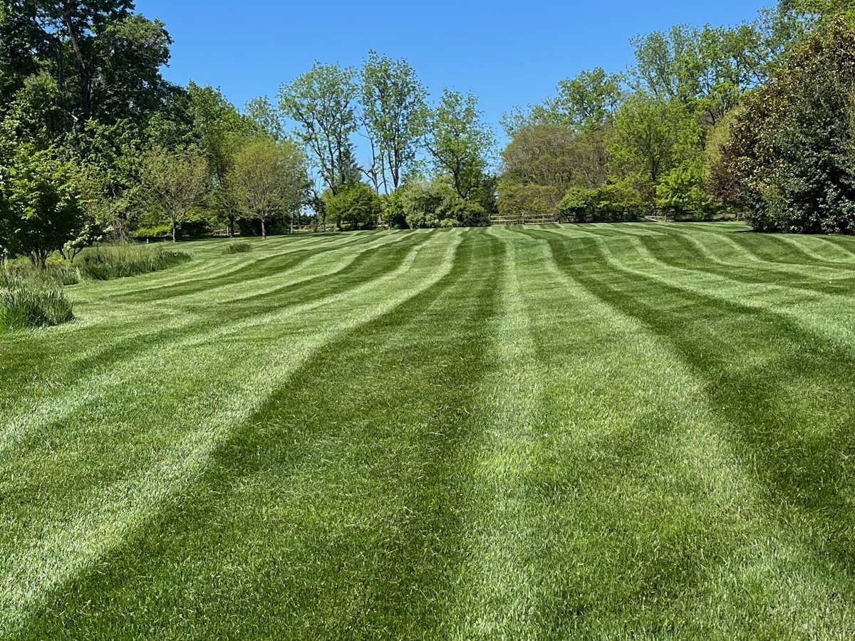 Freshly striped customer lawn