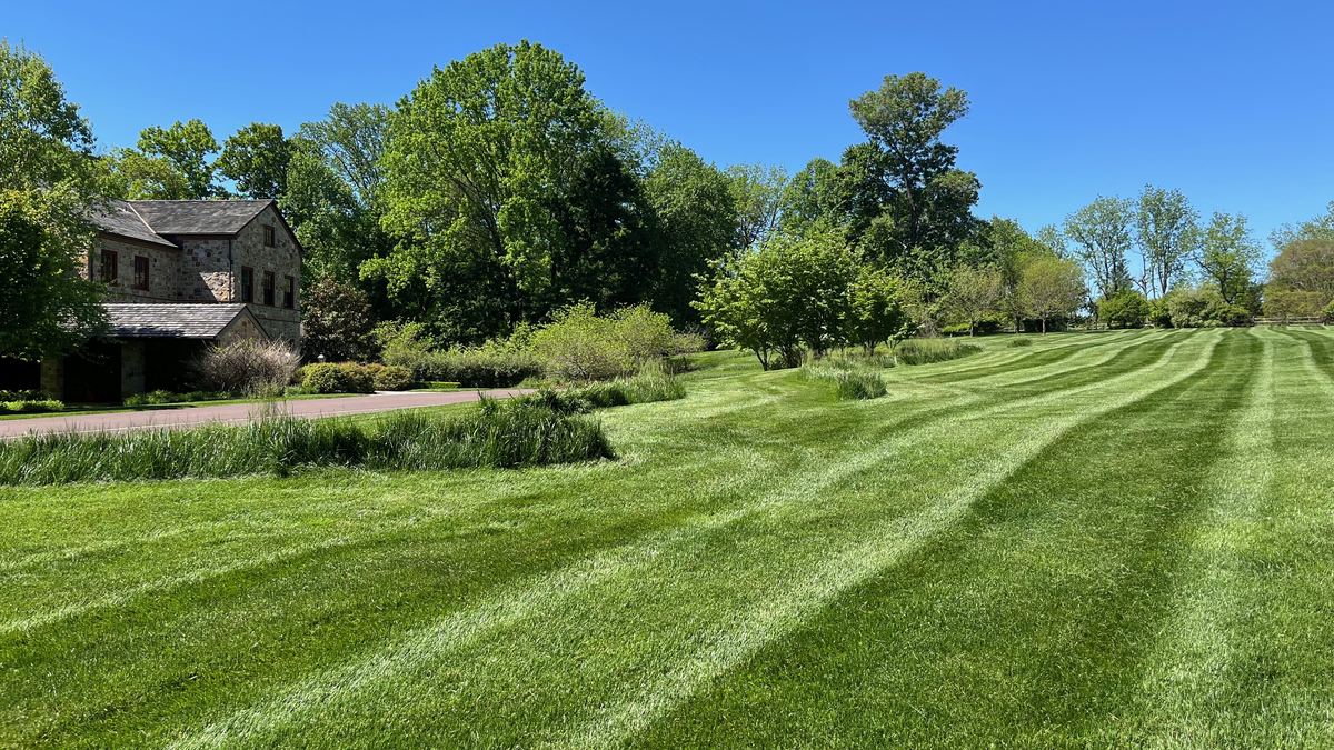Striped lawn we care for