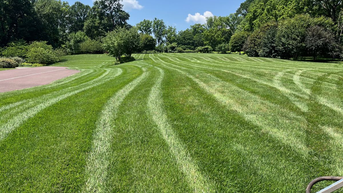 Large striped lawn